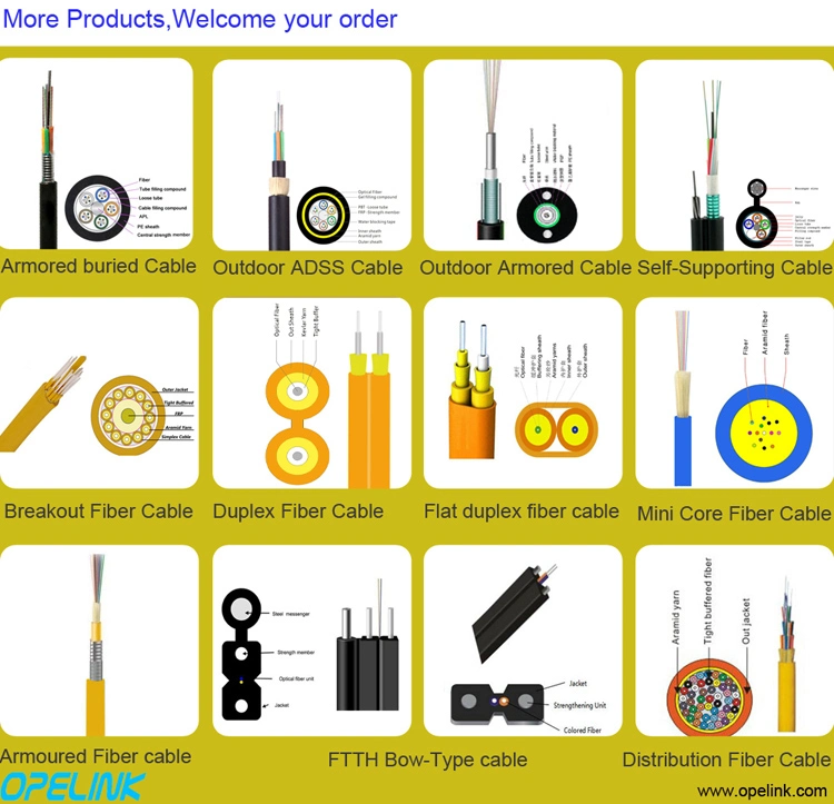 Optical Fiber 4 6 8 12 24 48 72 Single-Mode Multi-Core Round Tight Buffered Distribution Indoor Fiber Optic Cable LSZH for Optical Communication Equipment Rooms