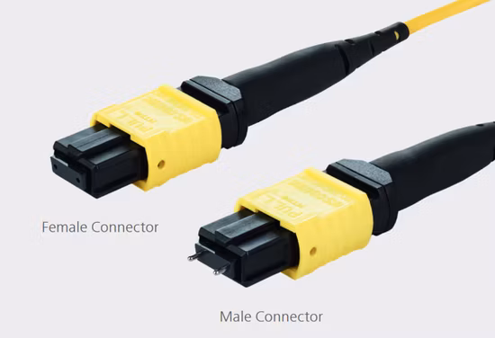 Cable de fibra óptica monomodo Elite Fiber Patchcord MPO Jumper Ofnp Ofnr Trunk